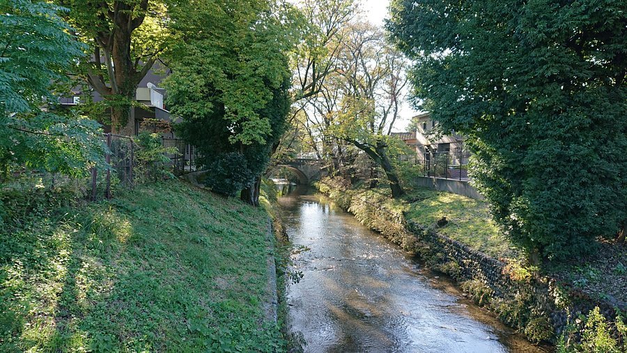 🏞️ 타마가와 상수 녹지 닛코바시 공원 (玉川上水緑地日光橋公園) 이미지 1